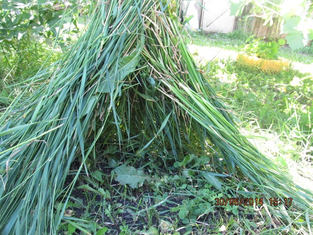 ФМ "Веселое лето" - День №4 " конструирование"