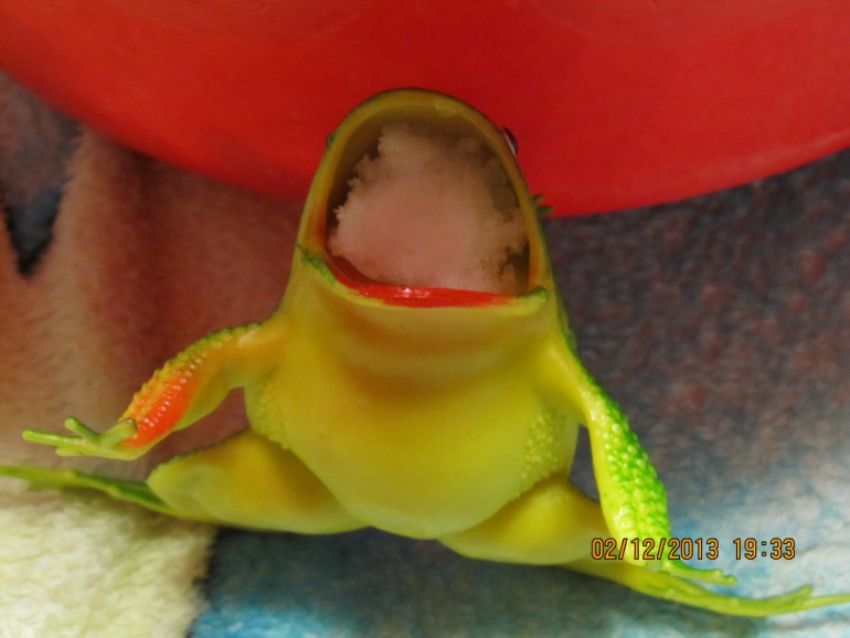 2 декабря. до НГ 30 дней..