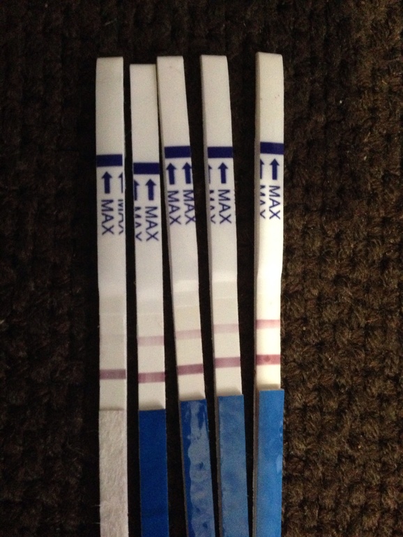 Мы беременны!!