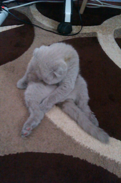 Знакомтесь,Масяня!