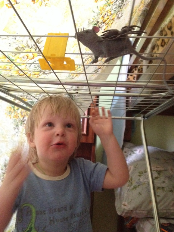 Нарисуем-будем жить!