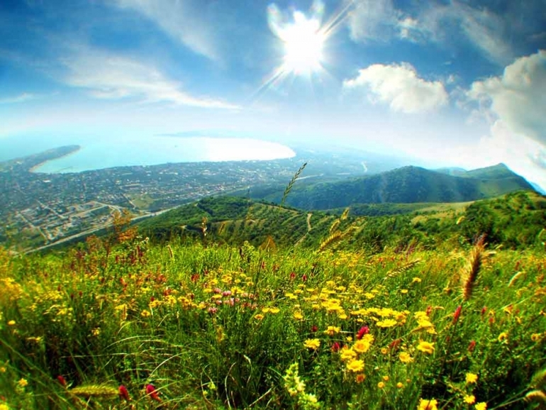 Отчеты. День№4.