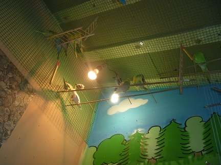 Поездка в контактный зоопарк в будний день