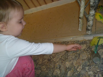 Поездка в контактный зоопарк в будний день