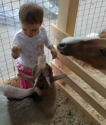 Поездка в контактный зоопарк в будний день