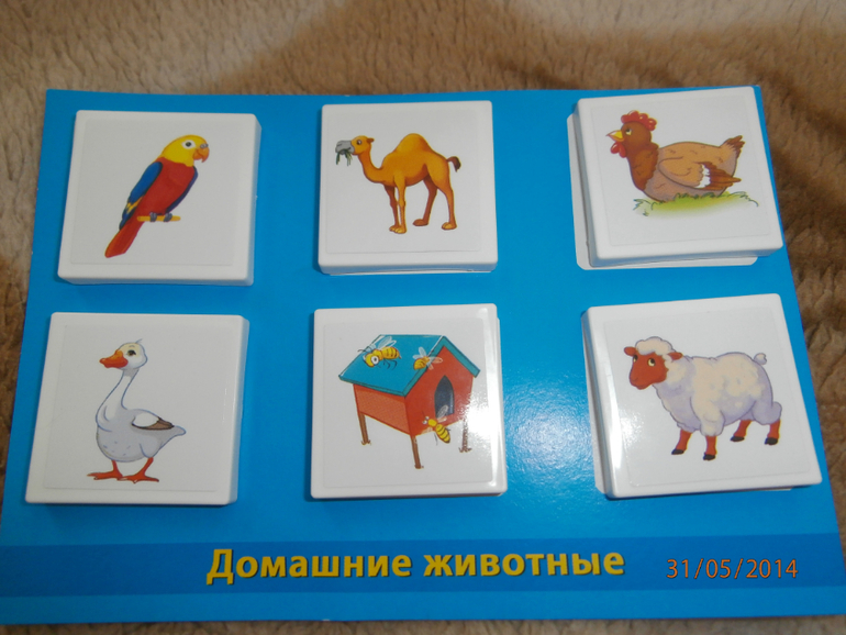 ТЗ Утка и Гусь
