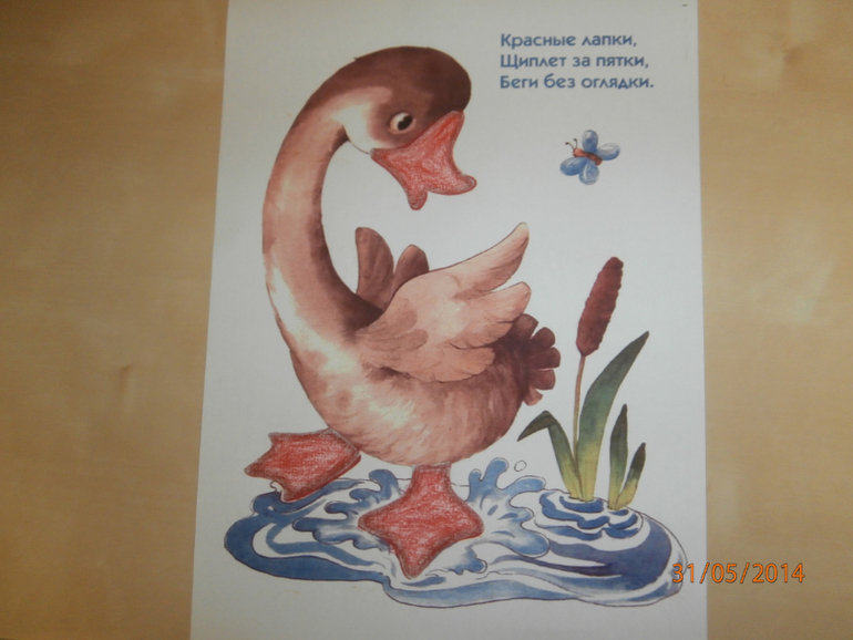 ТЗ Утка и Гусь