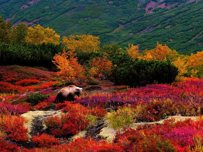 Это странное место Камчатка...