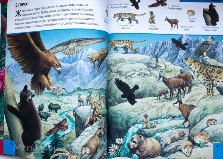 Еще одна бюджетная искалка.