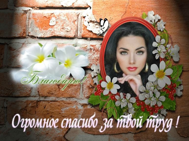 07d2ac92b6fc6a041e87f6a342b65ab5.jpg