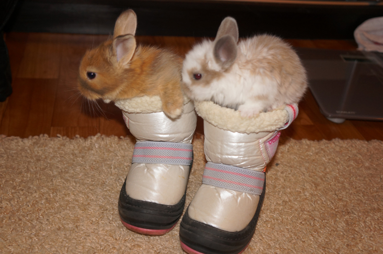 Вот что мы выбрали в подарок Майе)