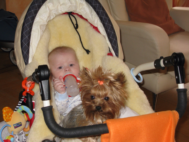 Мой колясопарк) много фото)))