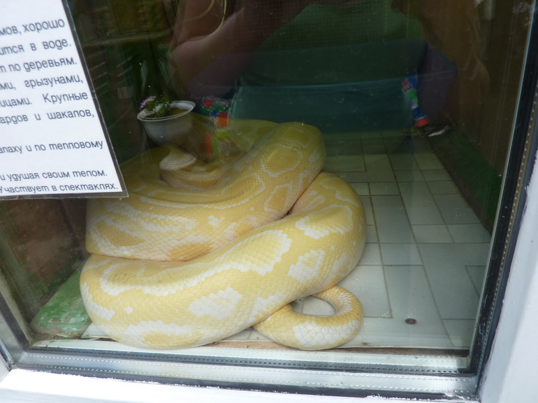 Зверинец на ВЫхино.