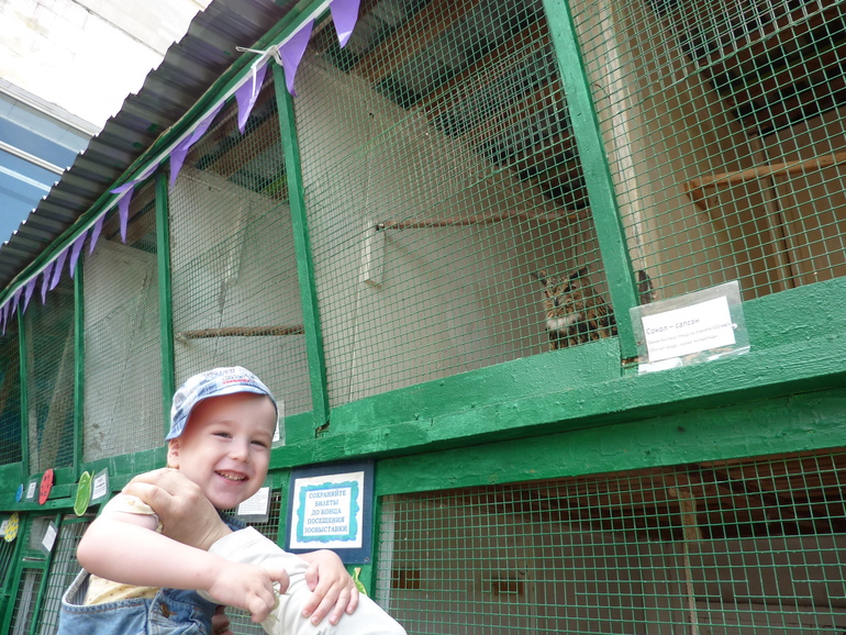 Зверинец на ВЫхино.