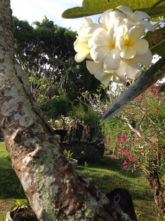 Наши вторые роды