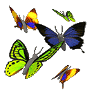 058f0677206f72ba28fd500a7cca1062.gif