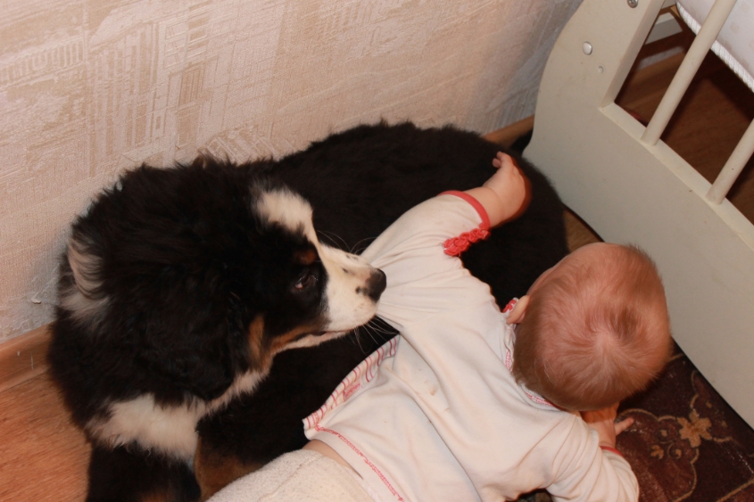 Ричард и все все все)))