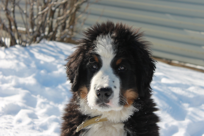 Ричард и все все все)))