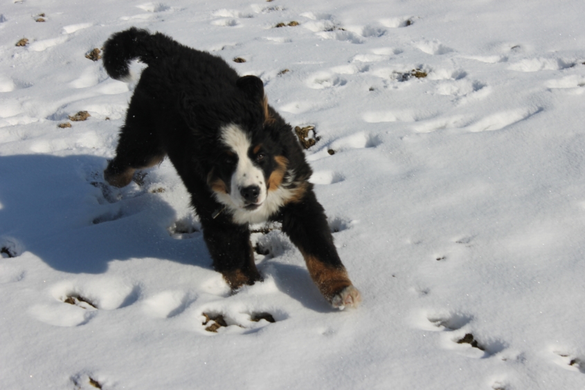 Ричард и все все все)))