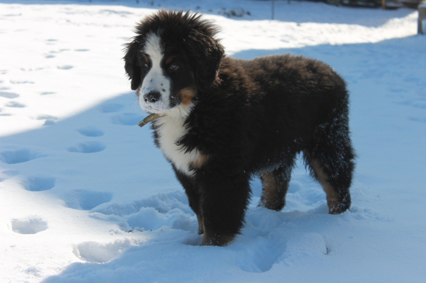 Ричард и все все все)))