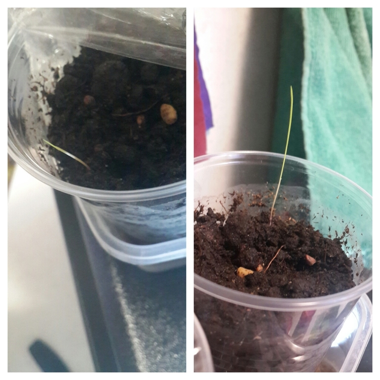 Подскажите что это))