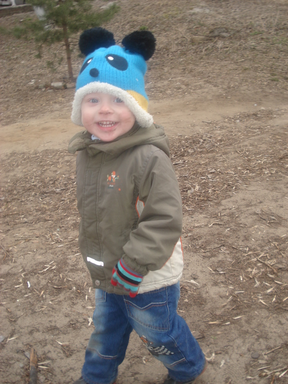 Песочный кот)) три фото)