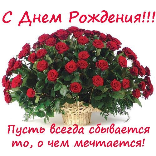 aeb169e4461fcdb0e0e2bcff70750f8d.jpg