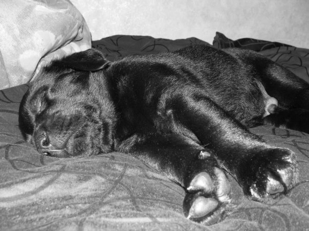 решила вспомнить))