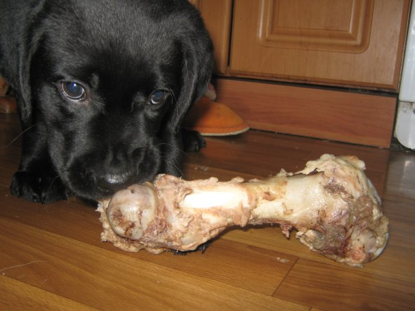 решила вспомнить))