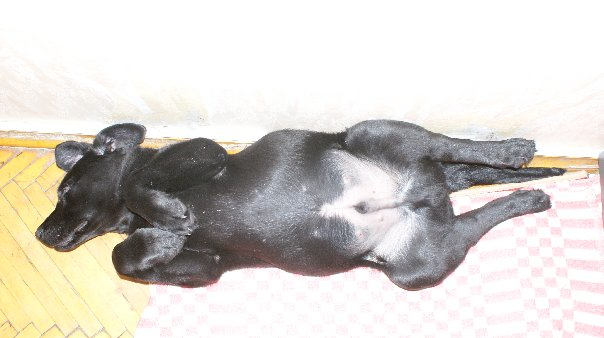 решила вспомнить))