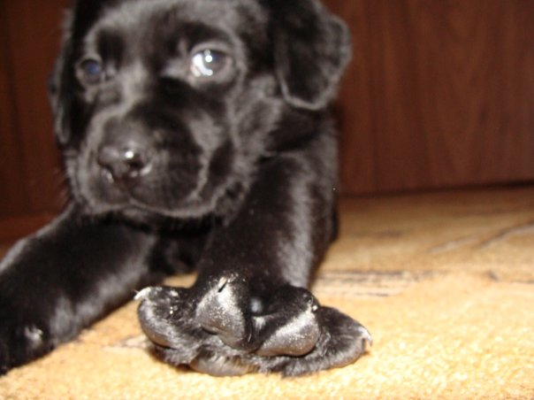 решила вспомнить))