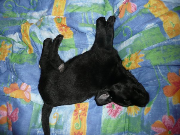 решила вспомнить))