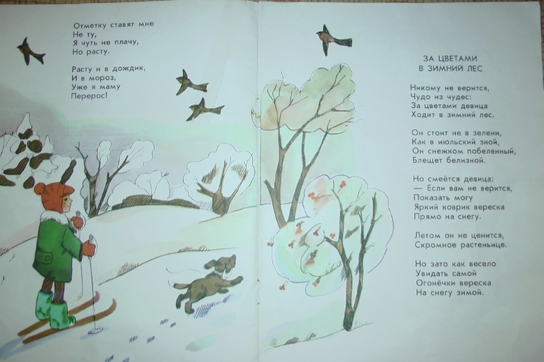 Вот такой вот