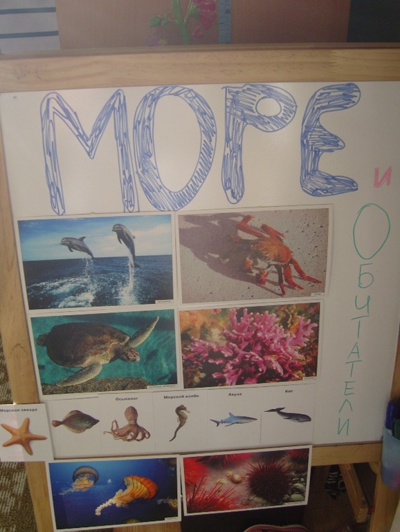 ТН Море. День 2