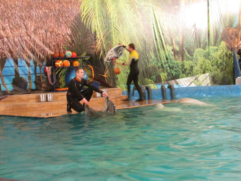 Февральчик