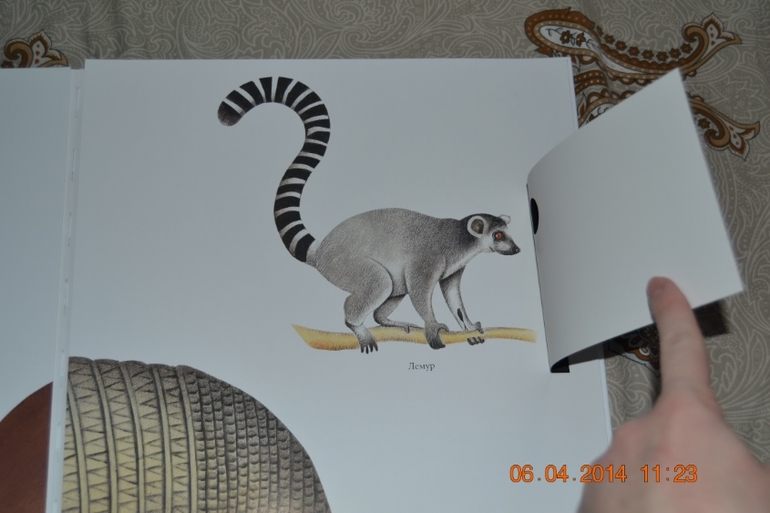 Наше апрельское пополнение