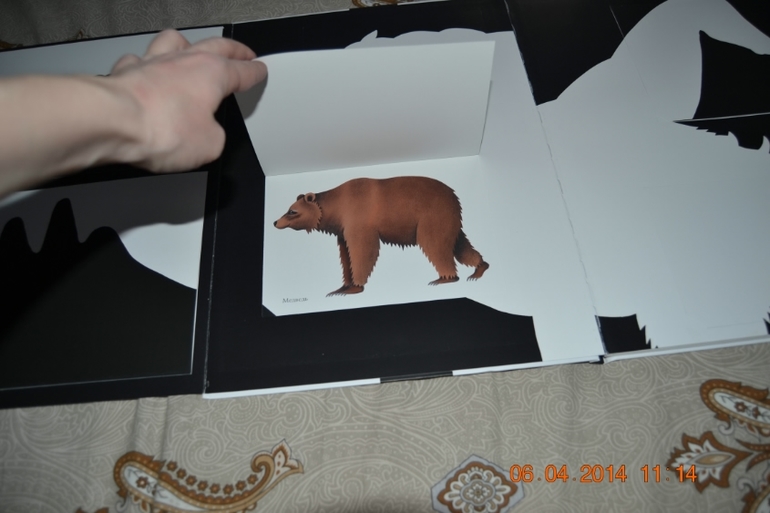 Наше апрельское пополнение