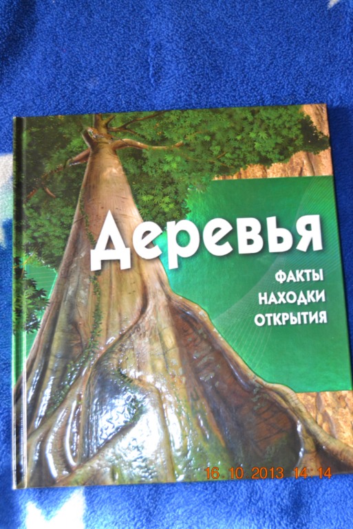 6de429d4d78ab55be5c4afbafa01e544.jpg