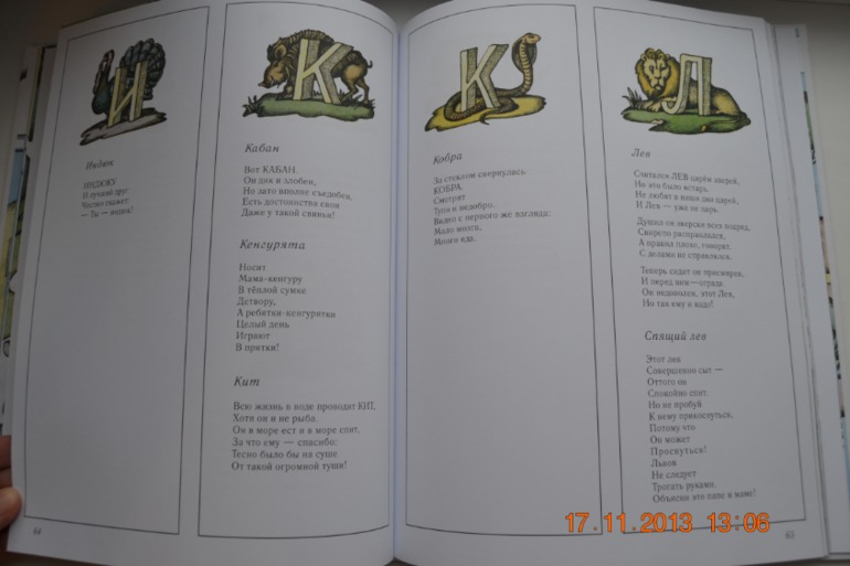 Моя вообразилия