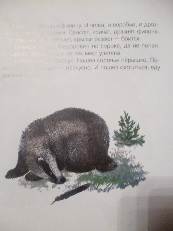 Чарушинские зверята (подробные фото и отзыв)