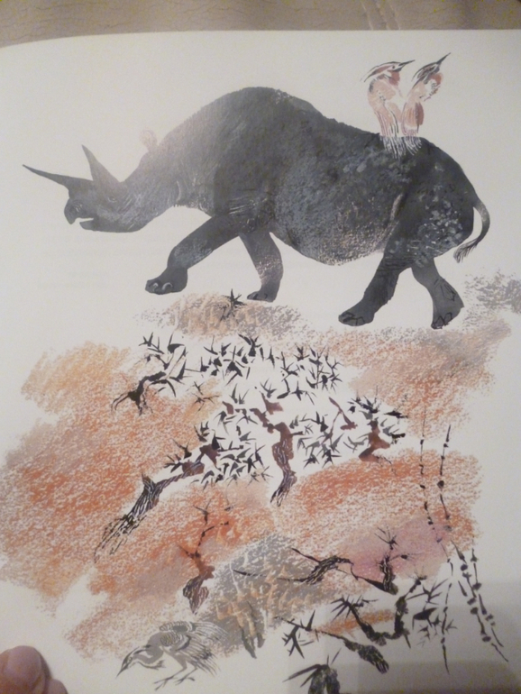 Чарушинские зверята (подробные фото и отзыв)