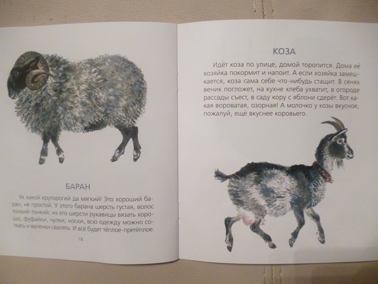 Чарушинские зверята (подробные фото и отзыв)