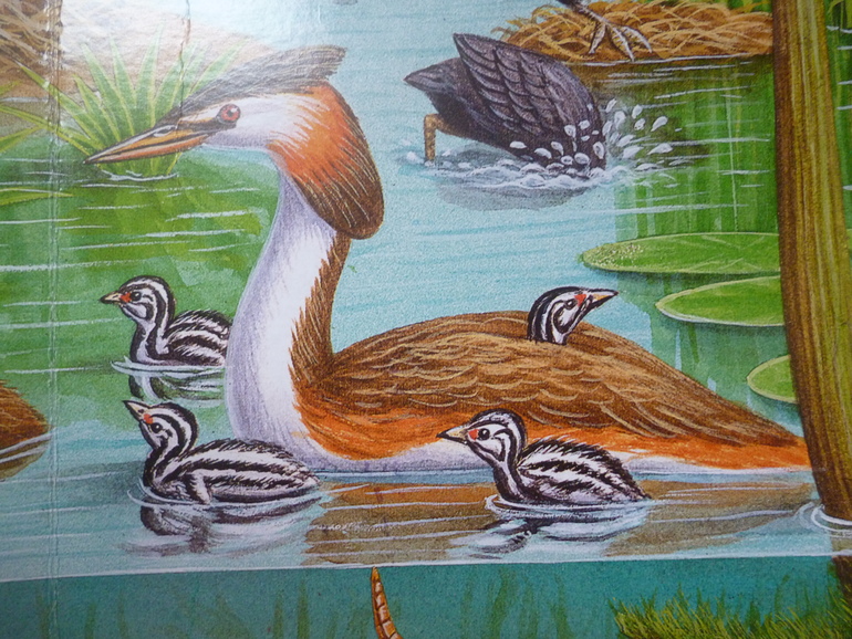 Первые книги малыша. Учим новые слова (бюджетные гляделки, много фото)