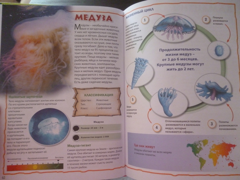 Энциклопедии про животных