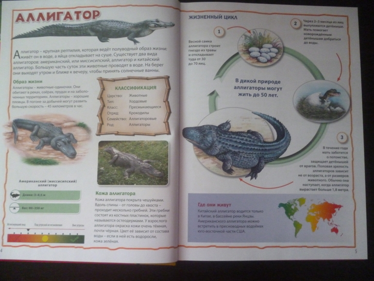 Энциклопедии про животных