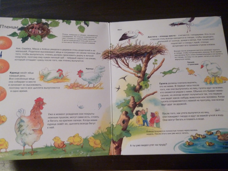 Энциклопедии про животных