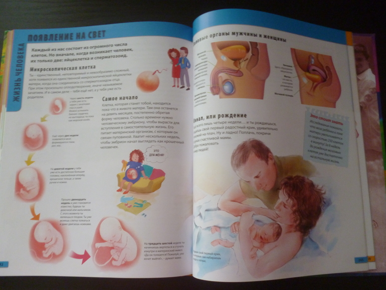 Энциклопедии про животных