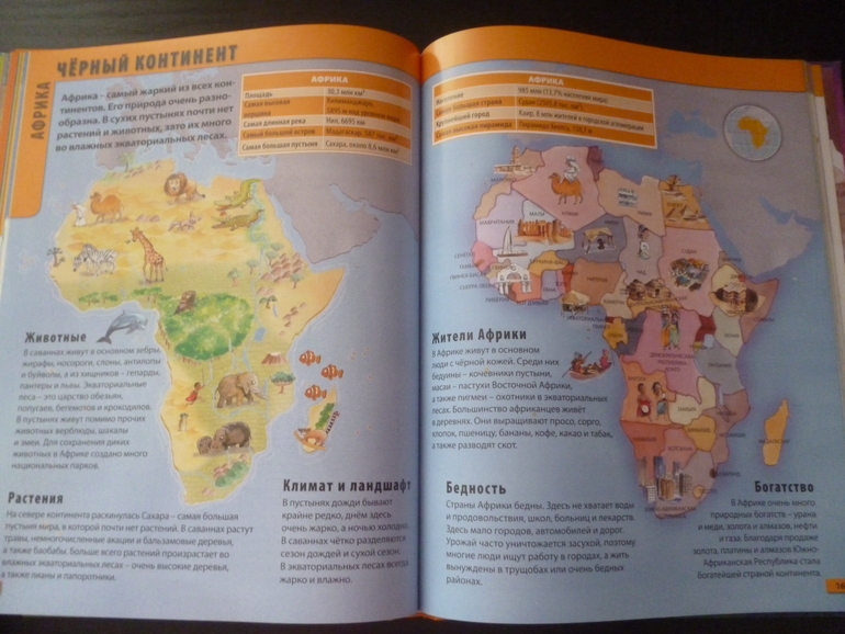 Энциклопедии про животных