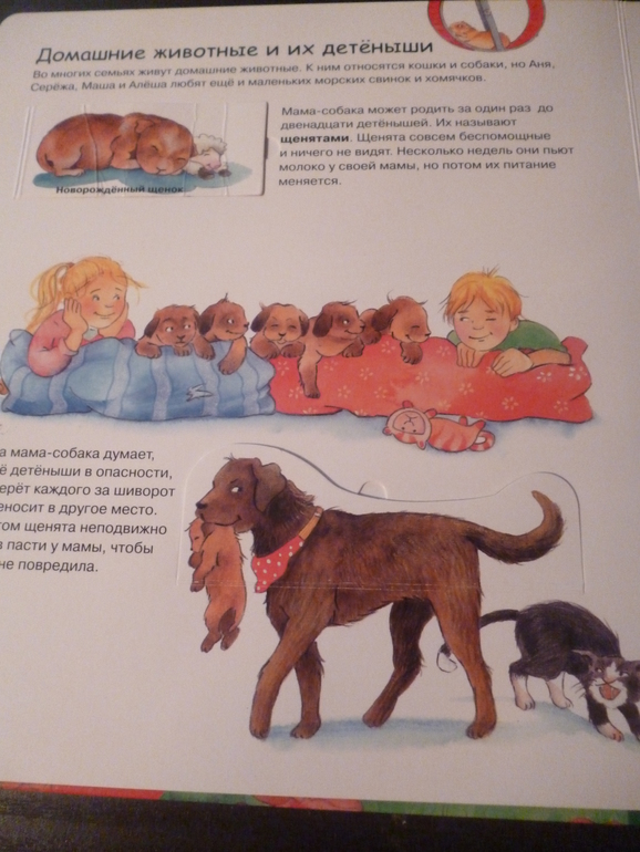 Энциклопедии про животных