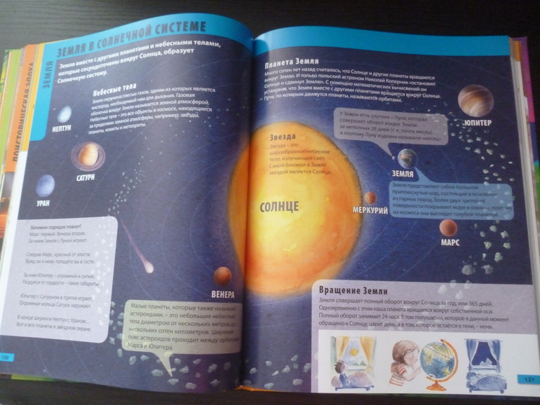 Энциклопедии про животных